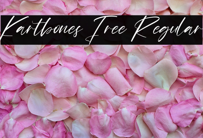 Kartbones Free Regular Example 1