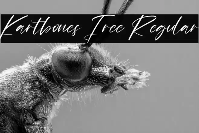 Kartbones Free Regular Font examples