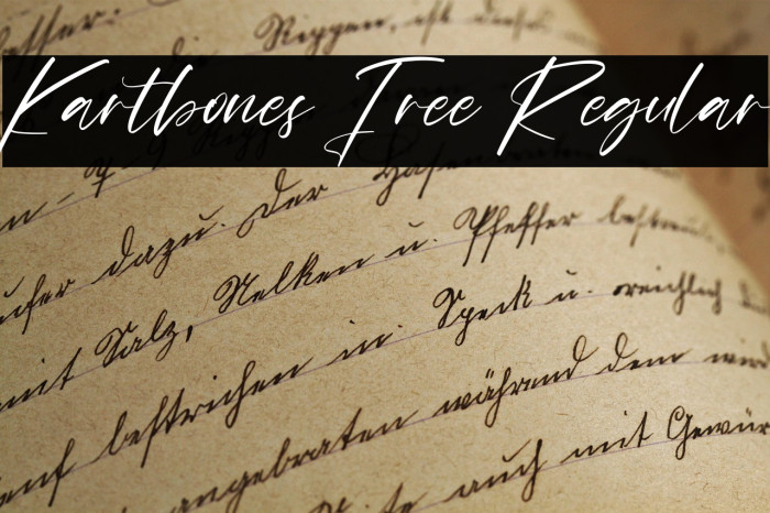 Kartbones Free Regular Example 3