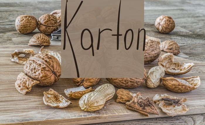 Karton Font examples