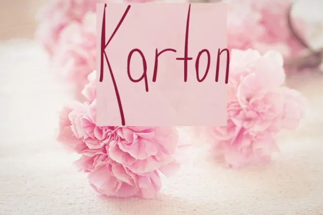 Karton Example 2