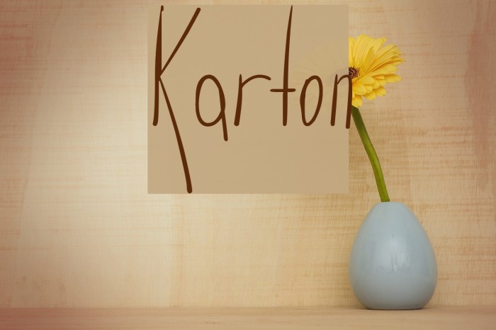 Karton Font examples
