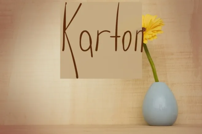 Karton Example 3
