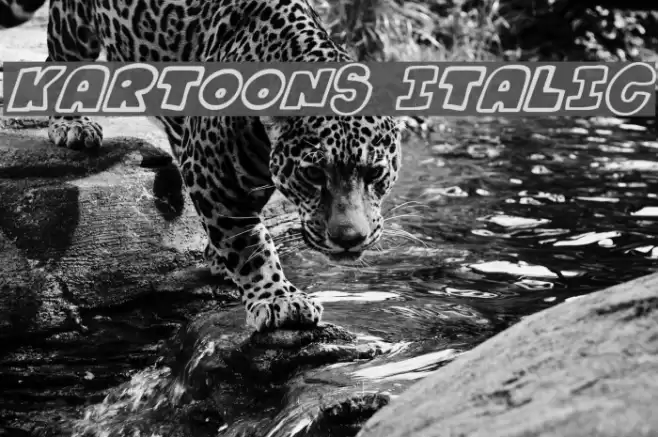 Kartoons Italic Font examples