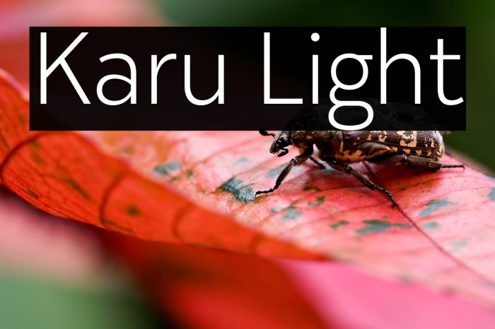 Karu Light Example 1