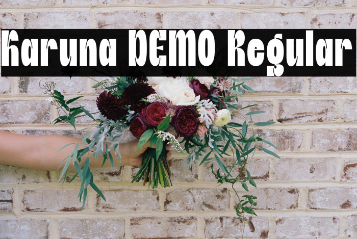 Karuna DEMO Regular Example 2