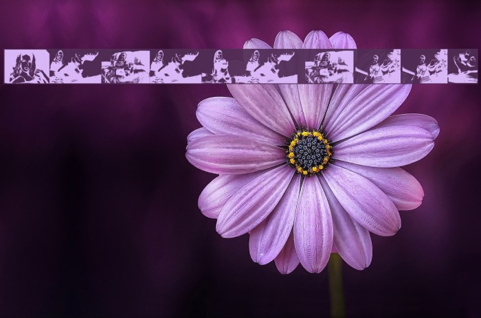 Karyna Feet Example 2