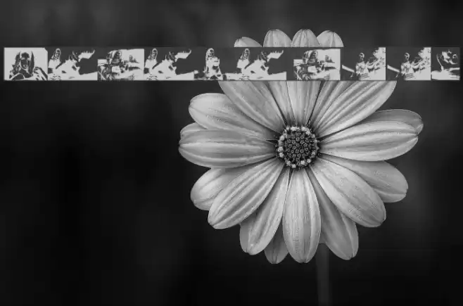 Karyna Feet Font examples