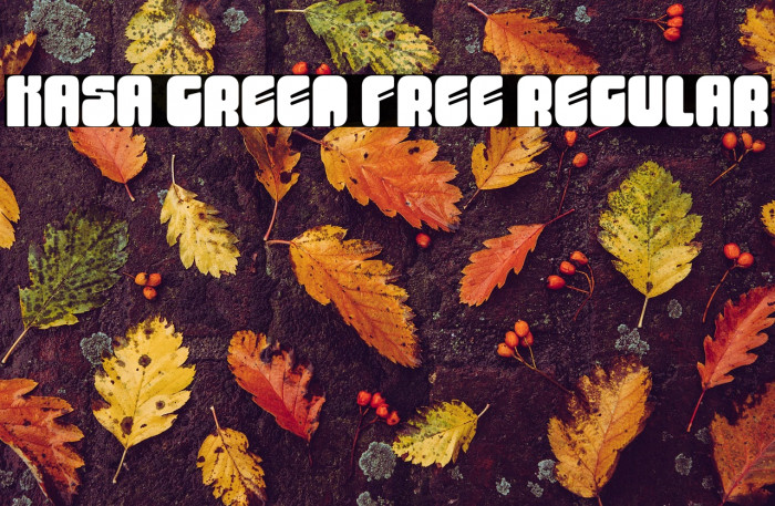 Kasa Green Free Regular Example 1