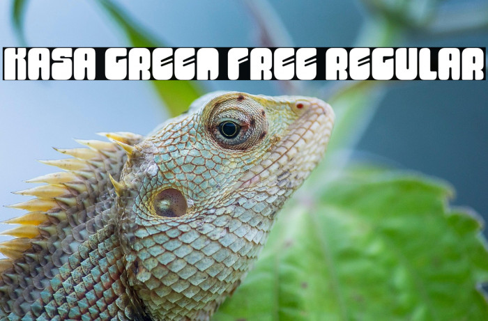 Kasa Green Free Regular Example 3