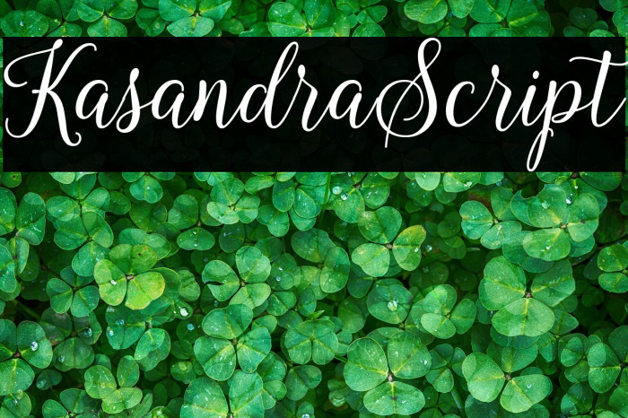 KasandraScript Example 2