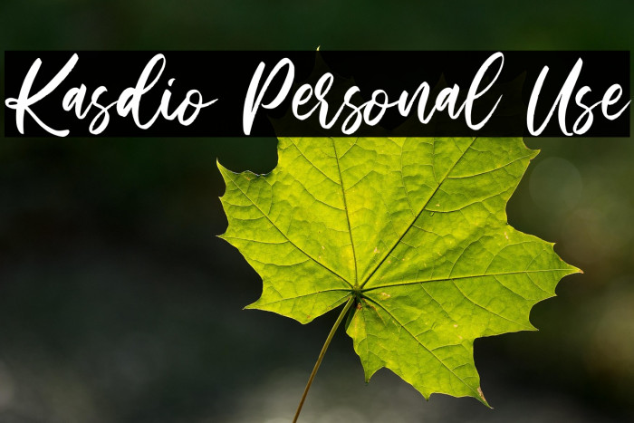 Kasdio Personal Use Example 1