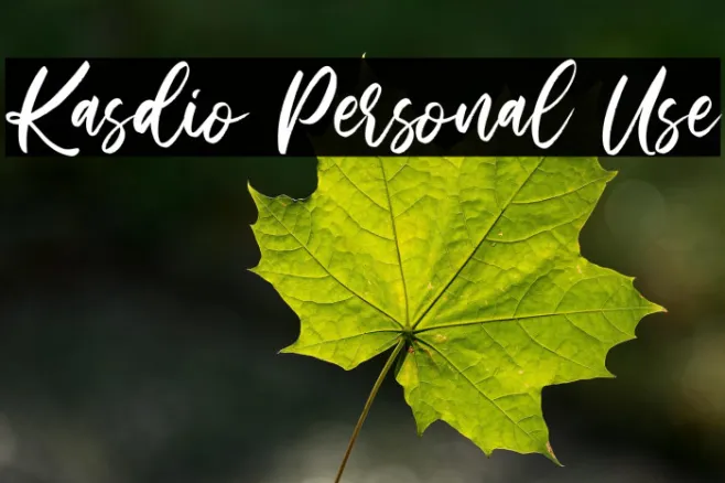 Kasdio Personal Use Example 1