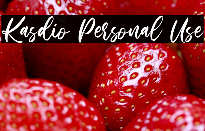 Kasdio Personal Use Example 3