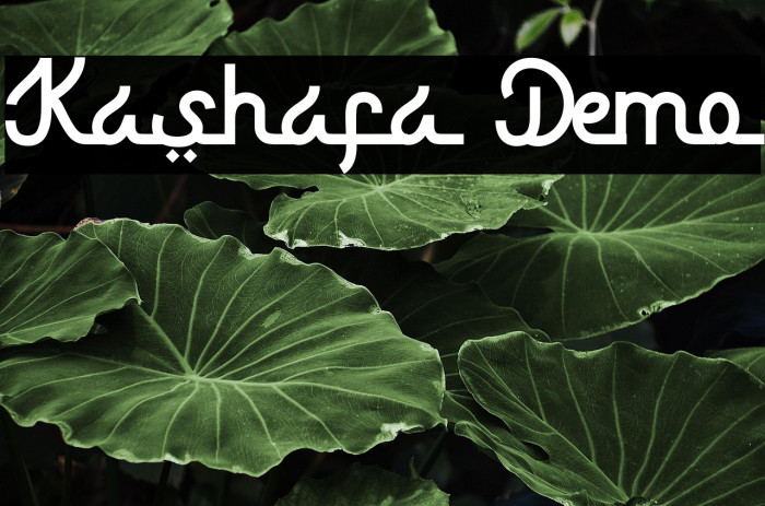 Kashafa Demo Example 1