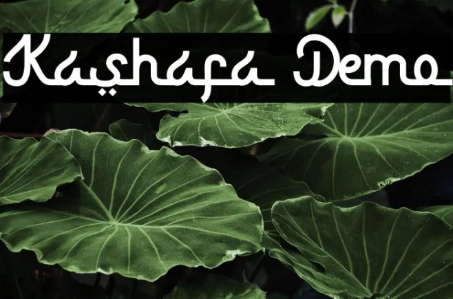 Kashafa Demo Example 1