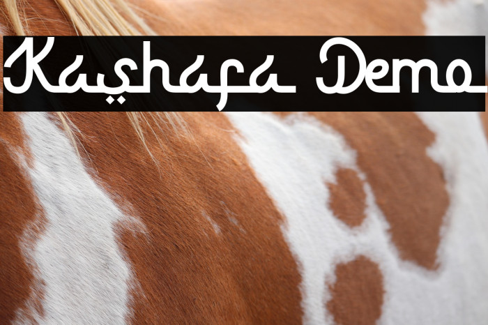 Kashafa Demo Example 2