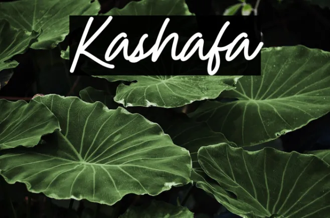 Kashafa Example 2