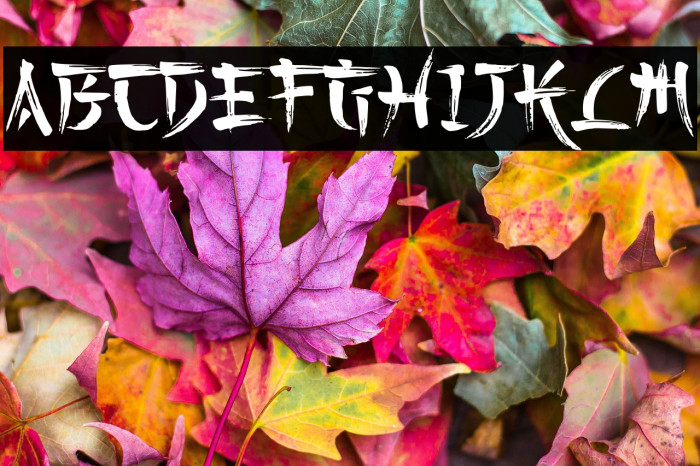 Kashima Brush Demo Example 1