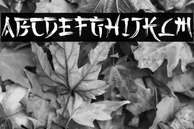 Kashima Brush Demo Font examples