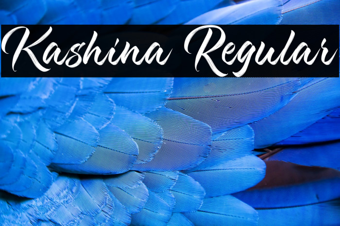 Kashina Regular Example 1