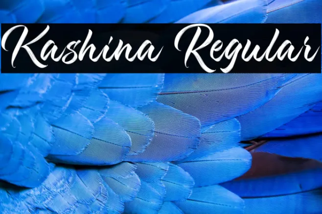 Kashina Regular Example 1