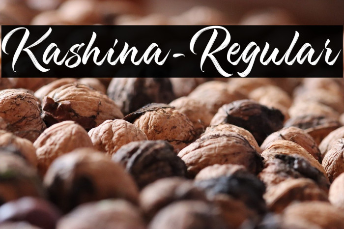 Kashina-Regular Example 2