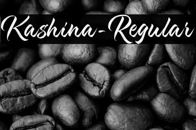 Kashina-Regular Font examples