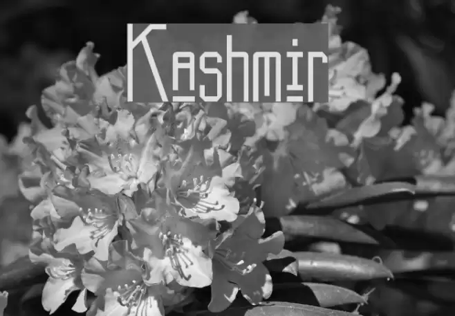Kashmir Font examples