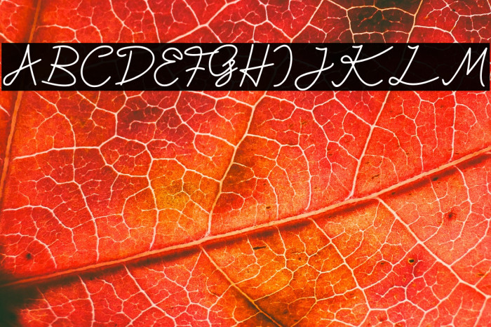 Kasih Bunda Example 2