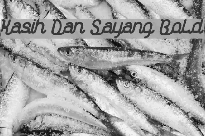 Kasih Dan Sayang Bold Font examples