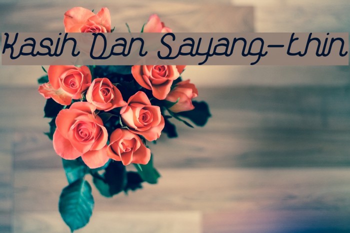 Kasih Dan Sayang-thin Font examples