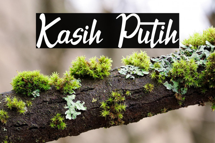 Kasih Putih Example 1