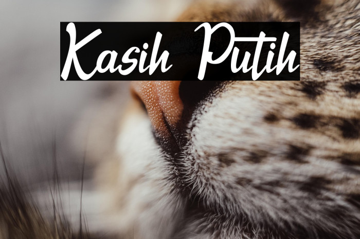 Kasih Putih Example 2