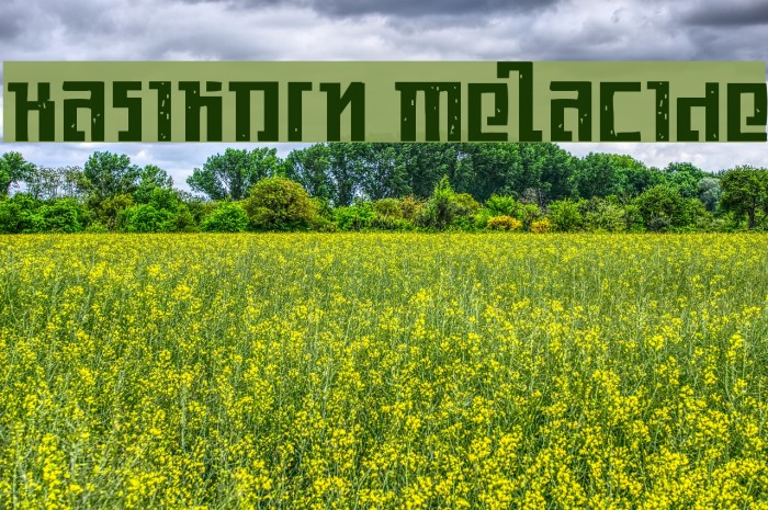 Kasikorn Metacide Font examples