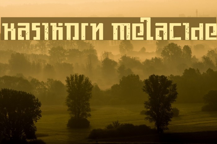 Kasikorn Metacide Font examples