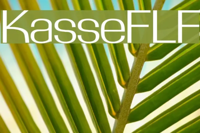 KasseFLF Example 3