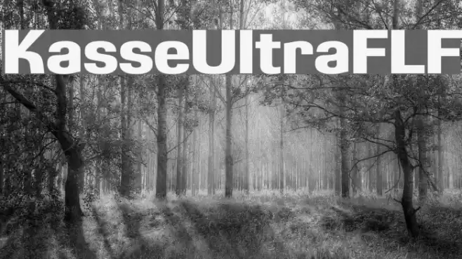 KasseUltraFLF Font examples