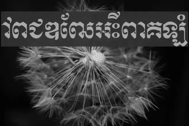 Kasskeo New Font examples