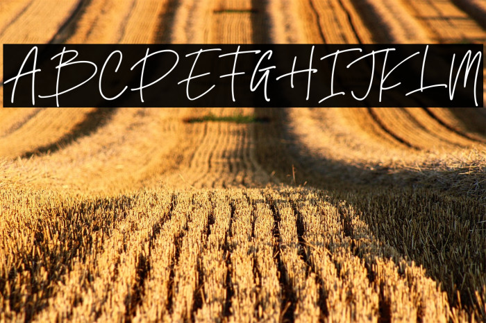 Kastangel Demo Example 1