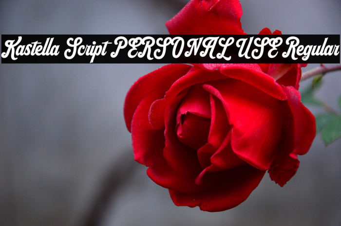 Kastella Script PERSONAL USE Regular Example 2