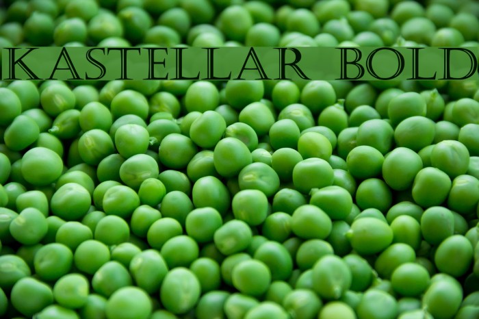 Kastellar Bold Example 1