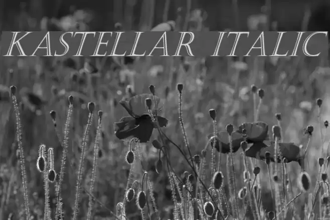 Kastellar Italic  examples