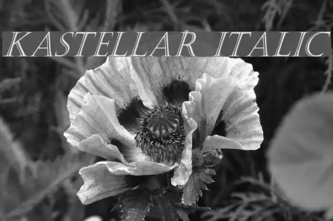 Kastellar Italic  examples