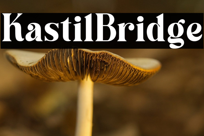 Kastil Bridge Example 2