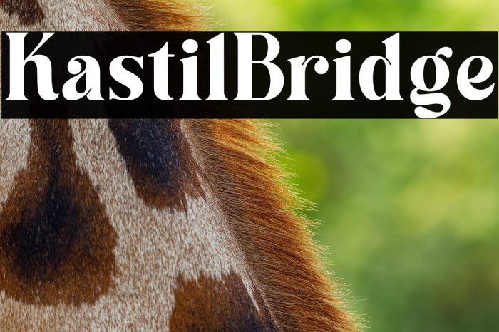 Kastil Bridge Example 3