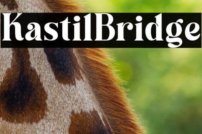 Kastil Bridge Example 3