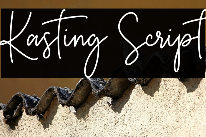 Kasting Script Example 2