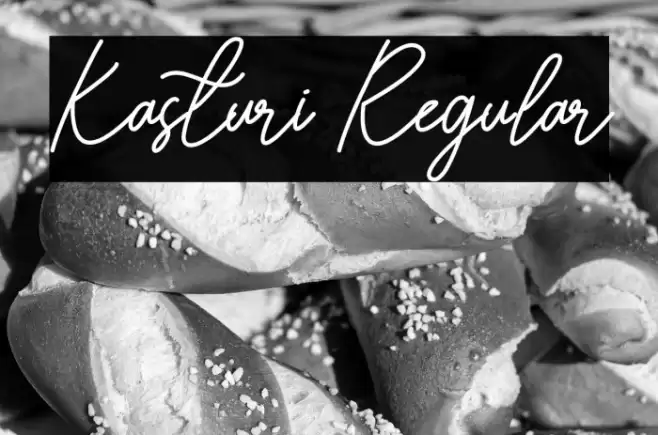 Kasturi Regular Font examples