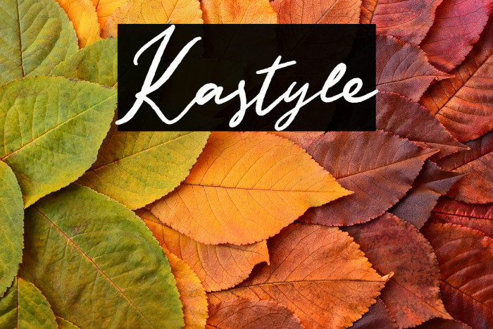 Kastyle Example 1